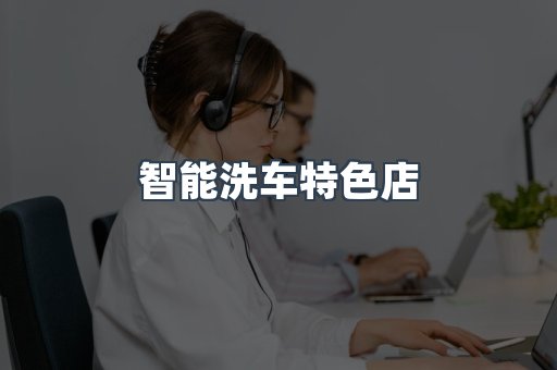 智能洗车特色店